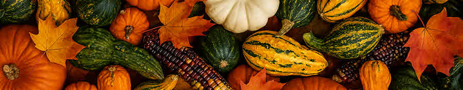 September 2025 Newsletter